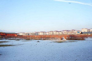 Erzurum Hayvan Pazarı Şap Nedeniyle Kapatıldı