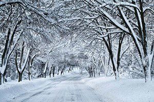 Fındık Üreticileri Kar Yağışına Umut Bağladı