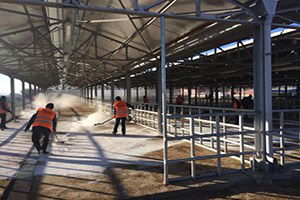 Gümüşhane`de Nepal Tip Şap Aşılaması Başladı