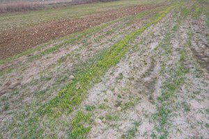 Güneydoğu`da Kurak Kış