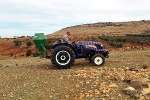 Kilis`te Merada Tohumlama Çalışması Yapıldı