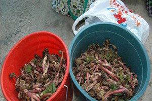 Kış Mevsiminin Vazgeçilmezi Ispıt Rağbet Görüyor