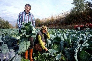 Kışlık Sebzeleri Doğal Olarak Üretiyor