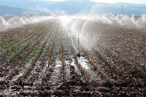 Kuraklığa `Sondajlı` Önlem