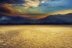 Kuraklık Çiftçiyi Perişan Etti