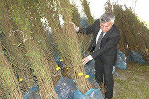 Meyveciliğe Destek Devam Ediyor