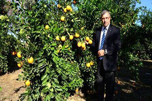 Narenciye Üreticisi Rusya Krizin Bitmesini Bekliyor