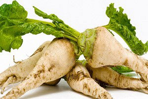 Amasya`da Pancar Alım Fiyatı Belirlendi