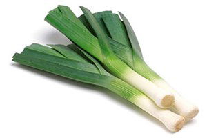 Pırasa İhracatı Üretimi Artırdı