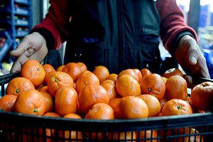 Sebze Meyve İhracatında Rusya`ya Mahkum Değiliz
