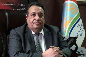 Sivas`ta Şap Hastalığı 58 Hayvanı Telef Etti