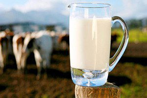 Süt Fiyatlarının Enflasyon Oranında Artırılmalı