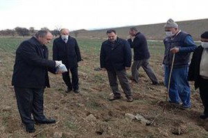 Üreticilere Tarla Faresi İle Mücadele Uygulamalı Olarak Anlatıldı