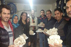 Tarsus Belediyesi`nden İstiridye Mantarı Yetiştiriciliği Kursu