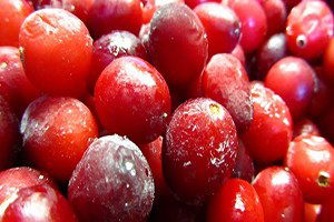 Turna Yemişi Antibiyotik Kullanımını Azaltıyor