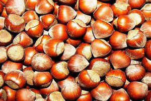 Üretici Düşen Fındık Fiyatlarına Tepkili