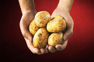 Ver Tohumu Al patatesi