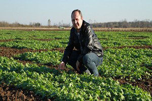 Türkiye`nin `İkinci Yerli Kanola Tohumu` Üretildi