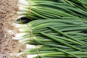 İstanbul`da Zam Şampiyonu Yeşil Soğan