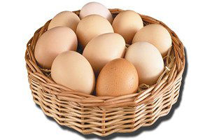 `Yumurta Yasası`na Üreticiler Tepkili