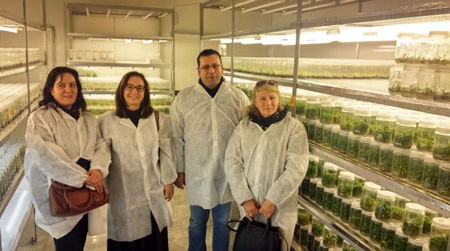 Artık Yerli Tohumla Üretim Başlıyor