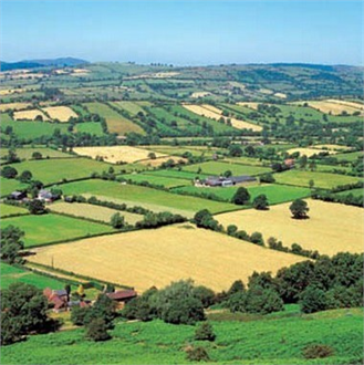 Tarım Arazileri Miras Yoluyla Bölünemeyecek