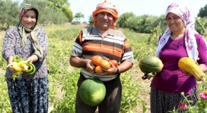 Küçük Aile İşletmelerine Destek