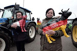 Sütten Kazanamayan Çiftçi Zor Durumda