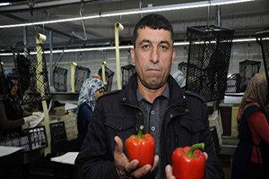 Antalya, Turizmden Sonra Tarımda Da Ümidini Irak Ve Suudi Arabistan`a Bağladı