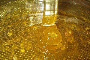 Arıcıların 2023 Hedefi 200 Bin Ton Bal Üretmek