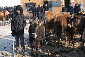 Bakanlık Fiyat Artışında Market ve Kasapların Önüne Geçsin