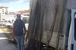 Bilecik`te Meyve Fidanları Satışa Sunuldu