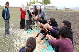 Büyükşehir Belediyesi`nden Tarımsal Kalkınmaya 6,5 Milyon TL Yatırım