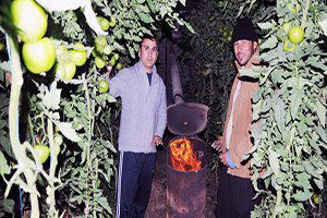 Çiftçi Don Nöbetinde