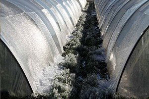 Çiftçiye Bir Darbe De Soğuk Havadan