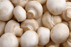 Diyarbakır`da Mantar Yetiştiriciliği