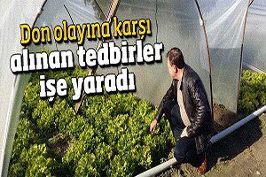 Don Olayına Karşı Alınan Tedbirler İşe Yaradı