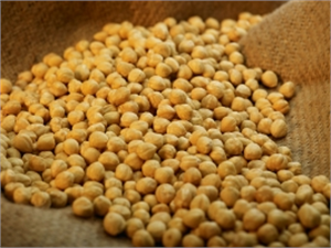 Düzce`de 2015 Dolu Dolu Geçti