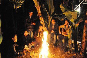 Gitarlı Zirai Don Nöbeti