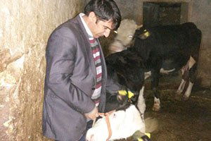 İlçe Tarım Müdürlüğünden Şap Aşısı