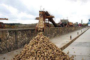 Kayseri Şeker, Çiftçisine Pancar Bedellerini 20 Ocakta Para Kasalarıyla Teslim Etti
