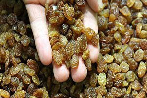 Kuru meyve kilogram başına 3,3 dolar kazandırdı