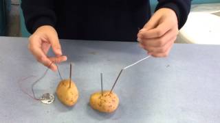 Patatesle Dünyayı Aydınlatmak