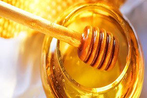 Muğla`da Çam Balı Üretimi Yüze 50 Düştü