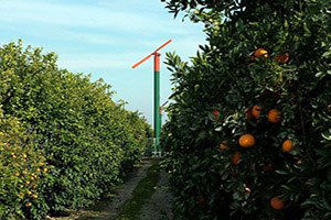 Narenciye Üreticisine `Don Kırıcı Pervane Kullanın` Önerisi