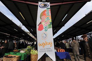 Organik Tarımda Yükseliş Dönemi