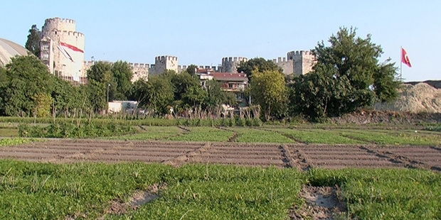 Yedikule Bostanları İnsansızlaştırılıyor Mu?