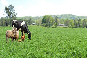 Pazaryeri`nde Tarım Komisyonu Toplantısı