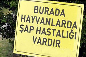 Ardahan`daki Şap Karantinası, Kısmen Kalktı