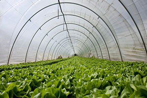 Akşehir`de Mahalle Sakinlerine Seracılık Anlatıldı